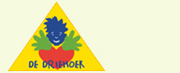 de driehoek