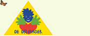de driehoek